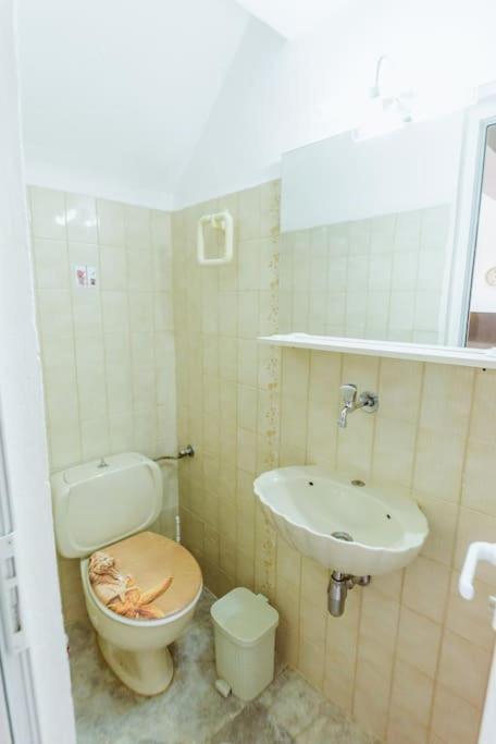 Villa Akadimia Luxury *